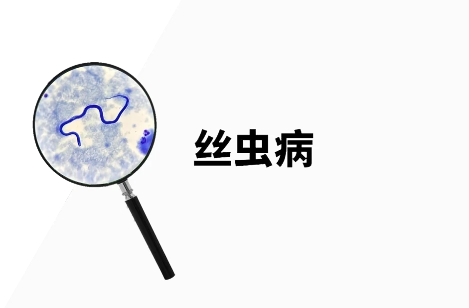 海群生枸橼酸乙胺嗪片哪里买-正品丝虫病治疗药物-标领医学现货